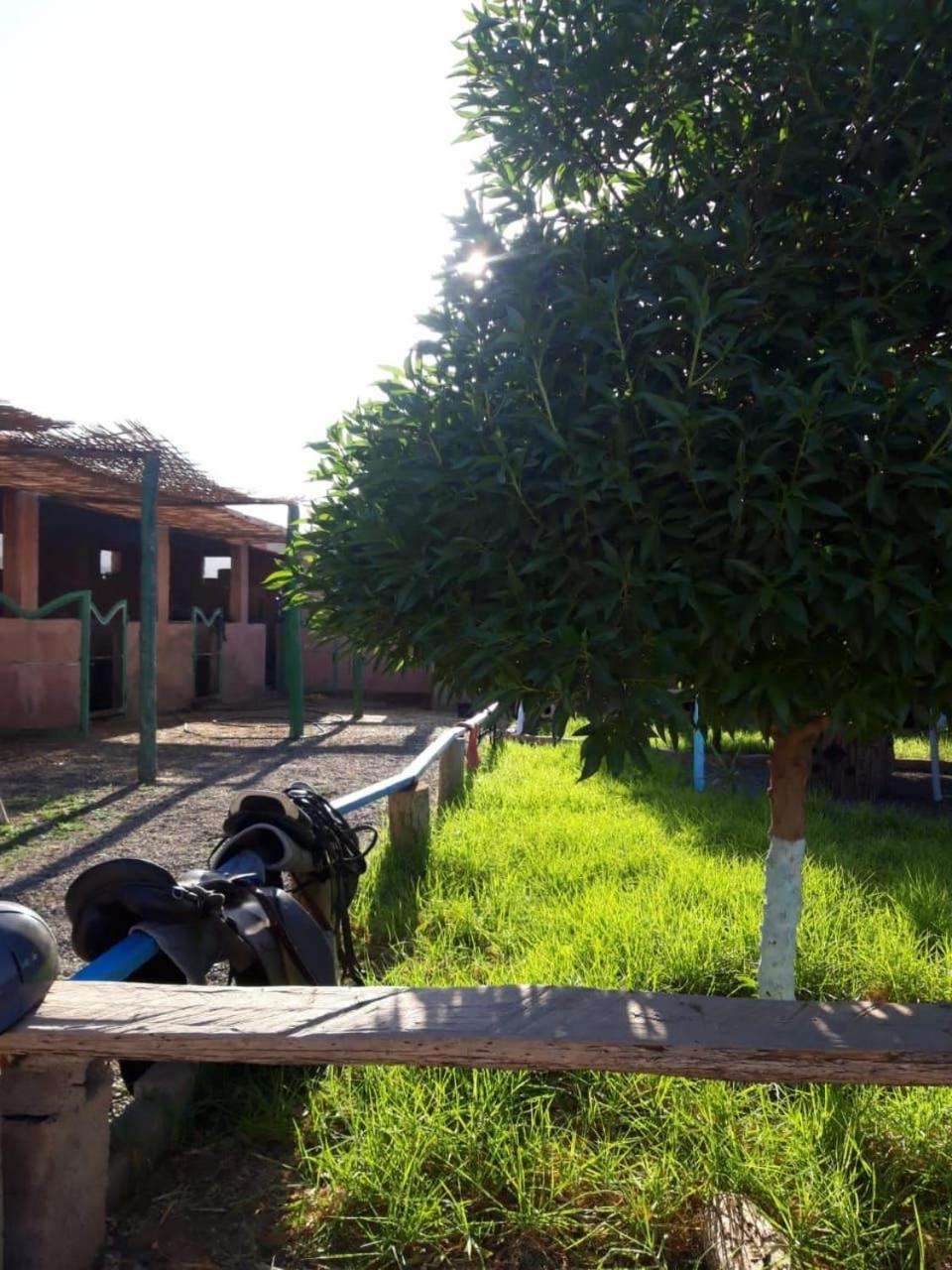 Les Cavaliers Chez Yassine Villa Marrakesh Exteriör bild