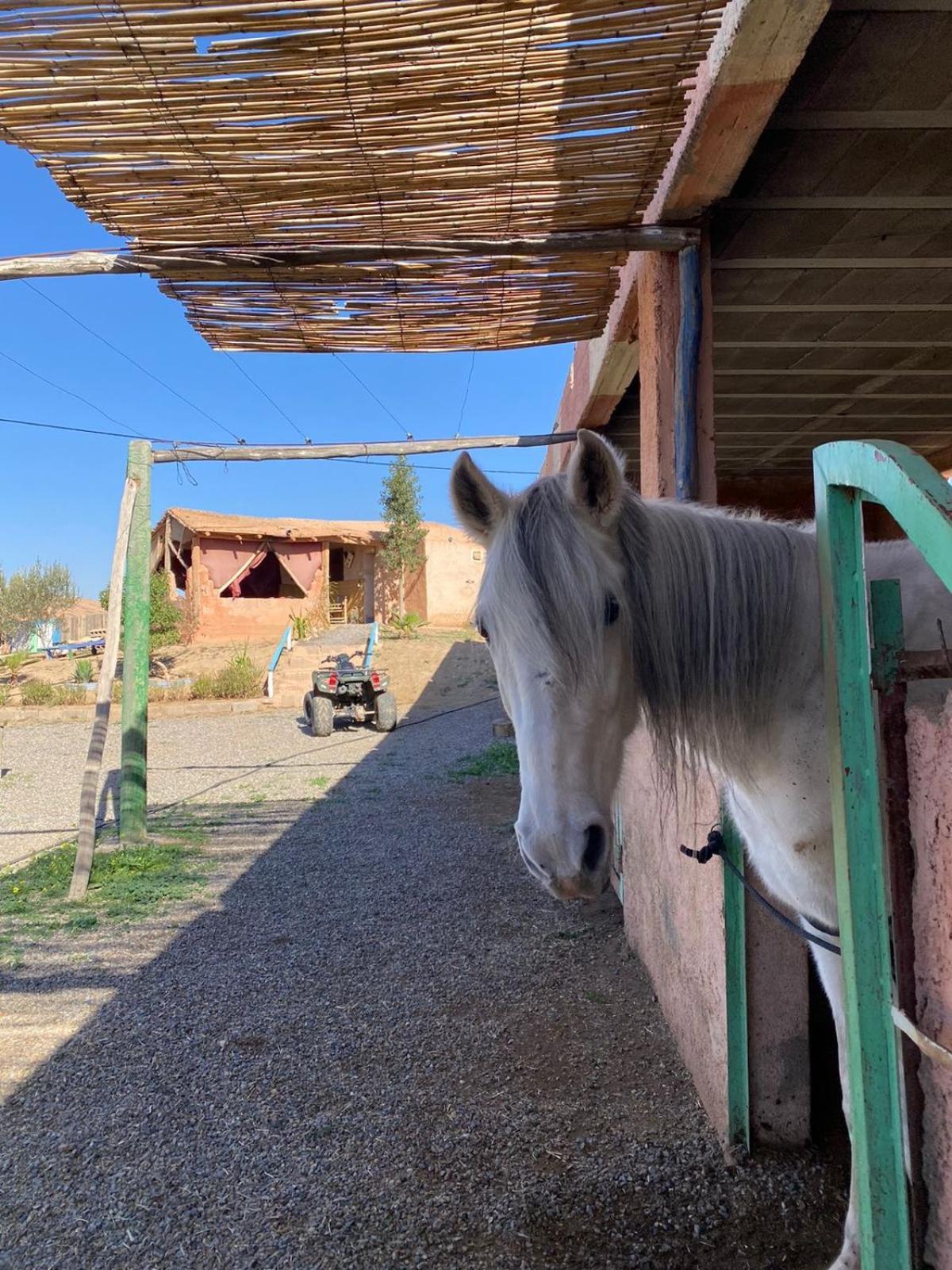 Les Cavaliers Chez Yassine Villa Marrakesh Exteriör bild