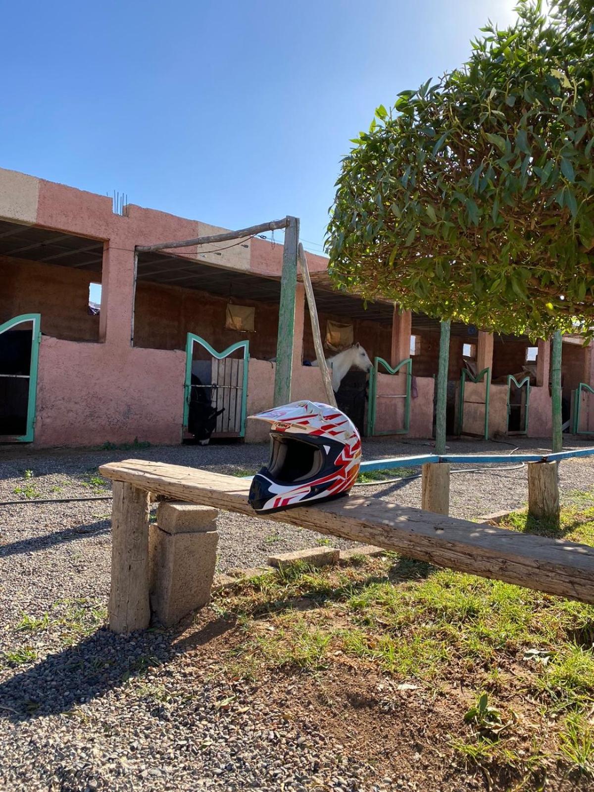 Les Cavaliers Chez Yassine Villa Marrakesh Exteriör bild