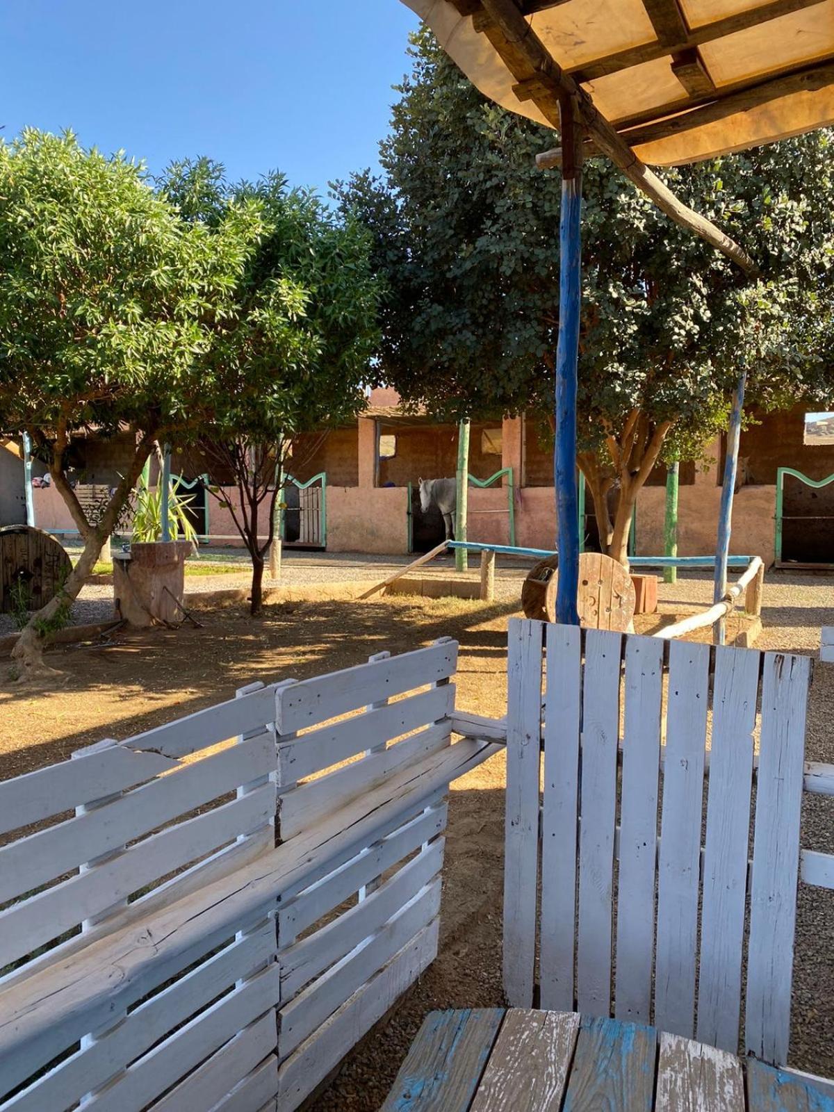 Les Cavaliers Chez Yassine Villa Marrakesh Exteriör bild