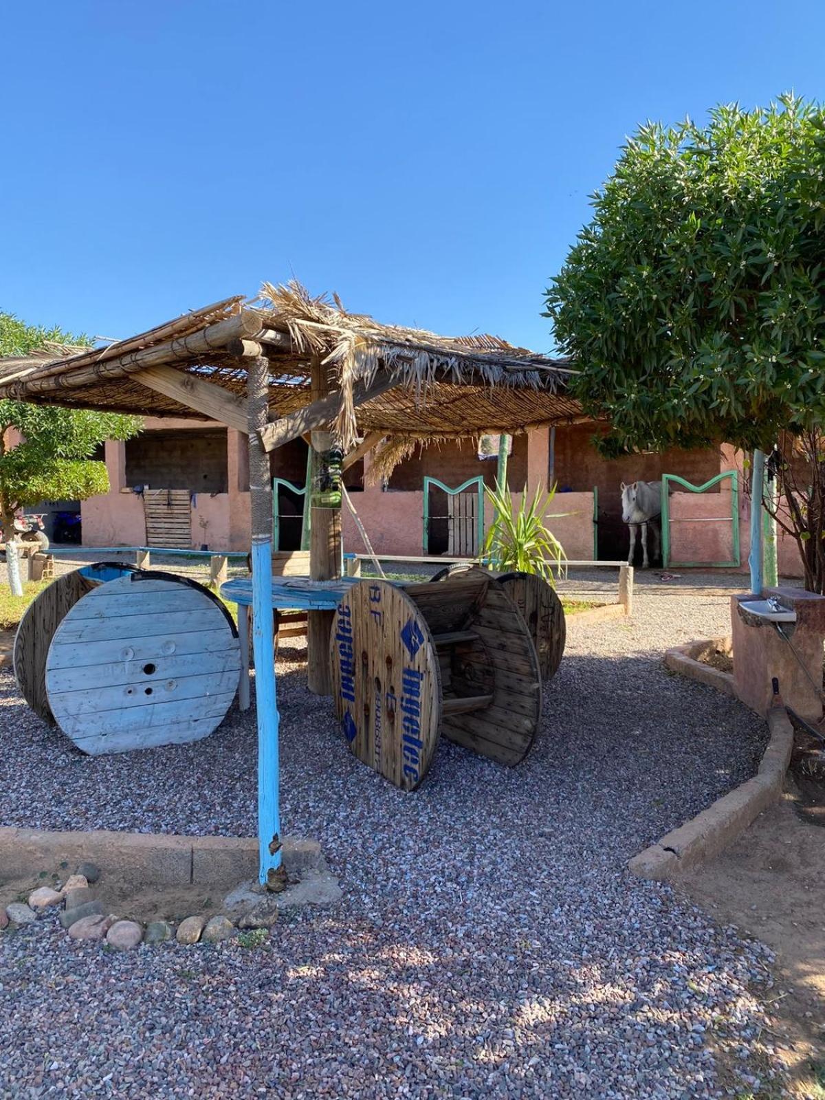 Les Cavaliers Chez Yassine Villa Marrakesh Exteriör bild